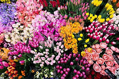 《无主之地4》新补丁上线 开发者透露后续更新计划