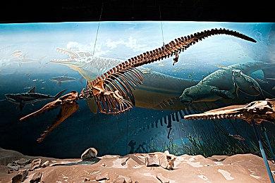 扑克牌策略肉鸽游戏《再来一张》现已在Steam平台推出试玩Demo