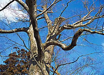 《克苏鲁的信徒》Steam抢先体验 邪恶城市建设模拟